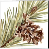 Simple Pine Cone I Fine Art Print