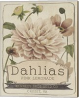 Vintage Seed Packets IV Fine Art Print