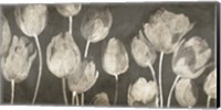 Washed Tulips Fine Art Print