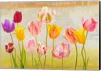 Tulipani d'estate Fine Art Print