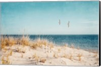 Beach & Gulls Fine Art Print