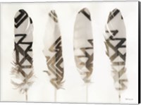 Feathers 1 Fine Art Print