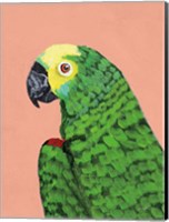 Parrot Head Fine Art Print