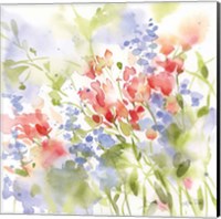 Spring Meadow II Fine Art Print