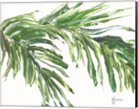 Green Palm Leaves Fine Art Print