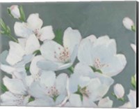 Spring Apple Blossoms Fine Art Print