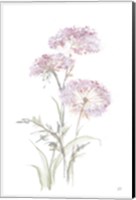 Tall Queen Annes Lace III Fine Art Print