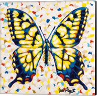 Pop Butterfly I Fine Art Print
