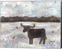 Longhorn Field Fine Art Print