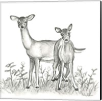 Watercolor Pencil Forest X-Deer Family Fine Art Print