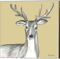 Watercolor Pencil Forest color VIII-Deer Fine Art Print