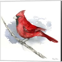 Birds & Branches I-Cardinal Fine Art Print