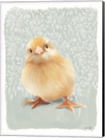 Spring Chick II Fine Art Print