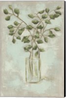 Eucalyptus Fine Art Print
