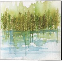 Forest Reflections Fine Art Print