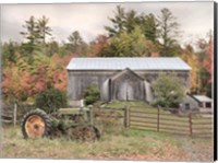 Fall on the Farm II Fine Art Print