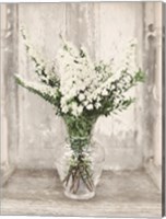 Bridal Veil Flowers Fine Art Print