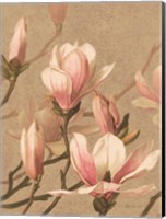 Antique Botanical Collection 4 Fine Art Print
