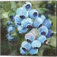 Blueberries 3 Fine Art Print
