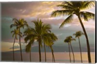 Hawaii Palm Sunset No. 1 Fine Art Print
