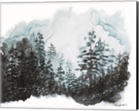 Blue Pine Forest I Fine Art Print