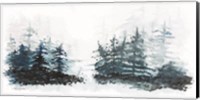 Blue Pine Forest II Fine Art Print