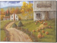 Harvest Pumpkin Farm Fine Art Print