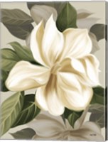Magnolia Blossoms II Fine Art Print