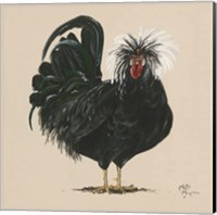 Chicken Fine Art Print
