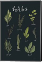 Light Green Herbs I Black Fine Art Print