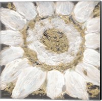 Golden Sunflower Fine Art Print