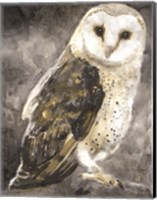 Snowy Owl 2 Fine Art Print