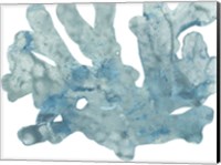 Blue Macro Coral IV Fine Art Print