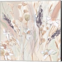 Lavender Flower Field II Fine Art Print