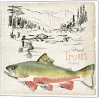 Trout Journal II Fine Art Print