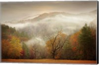 Photography Study Autumn Mist Fine Art Print
