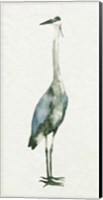 Deep Blue Heron II Fine Art Print