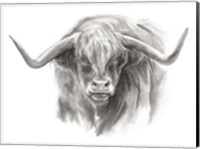 Soft Focus Highland Cattle II Fine Art Print