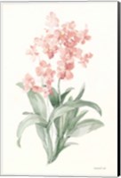 Spring Orchid I Fine Art Print