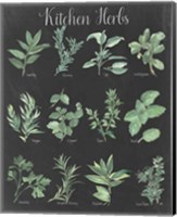 Kitchen Herb Chart on Black II Fine Art Print