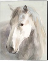 Gentle Horse Crop Fine Art Print