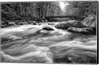 Flow Of The Creek Fine Art Print