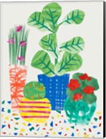 Patio Plants Fine Art Print