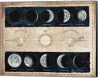 Moon Phases and Eclipses Fine Art Print
