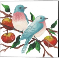 Birds and Apples Fine Art Print