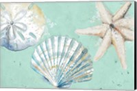 Beach Shells on Turquoise Rectangle Fine Art Print