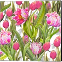 Tulip Symphony I Fine Art Print