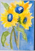 Sunflowers Fine Art Print