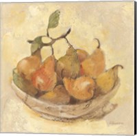 Sunlit Pears Smooth Fine Art Print