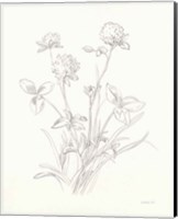 Nature Sketchbook VIII Fine Art Print